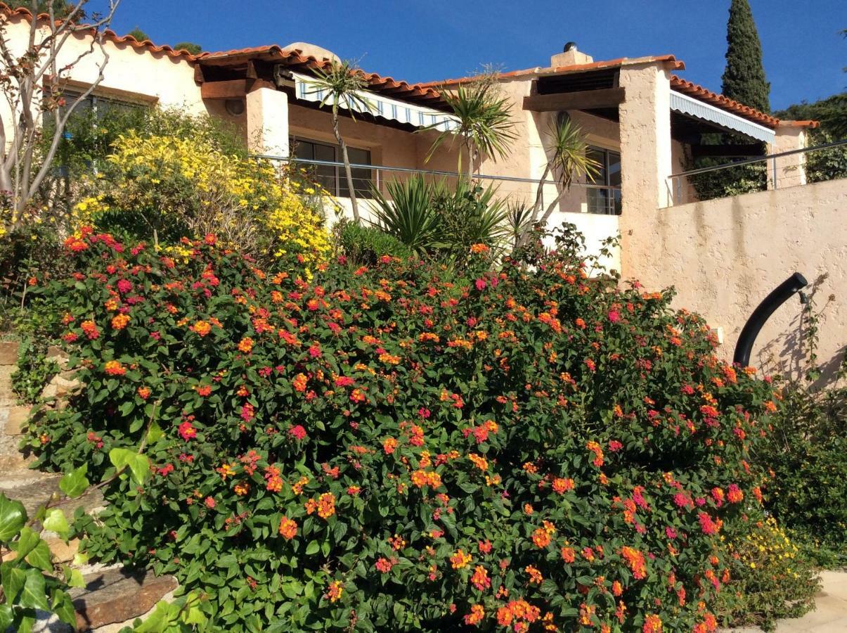 Villa Du Bau Rouge Carqueiranne Ngoại thất bức ảnh